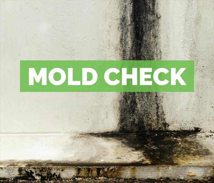 Mold check