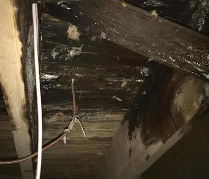 Hidden subfloor damage under insulation in crawlspace