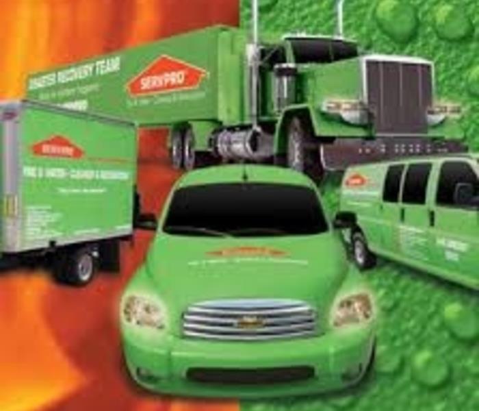 Green SERVPRO Trucks