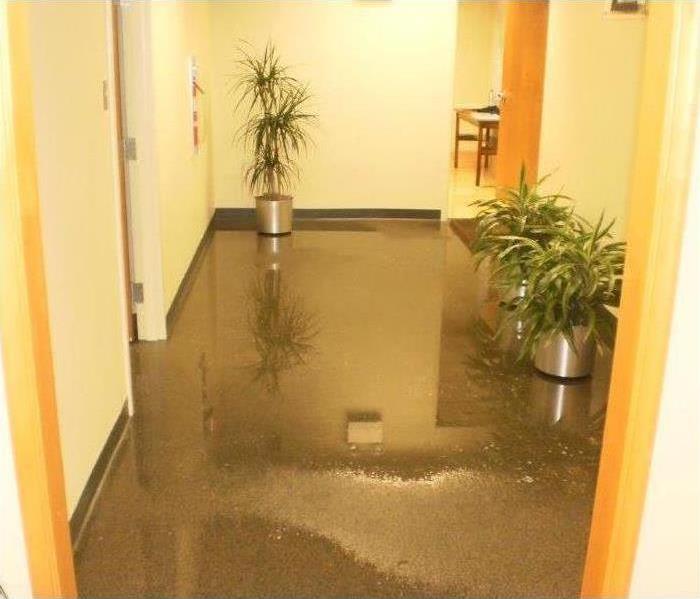 Water damage in commercial office building 